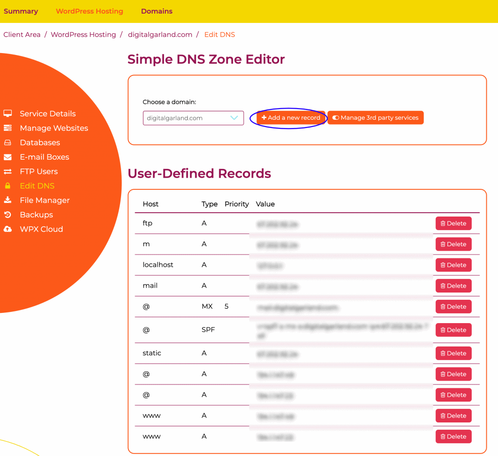 Edit DNS Page